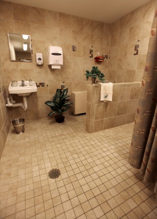 The Laurels of Norworth: Spa
