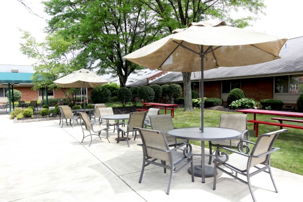 The Laurels of Norworth: Courtyard